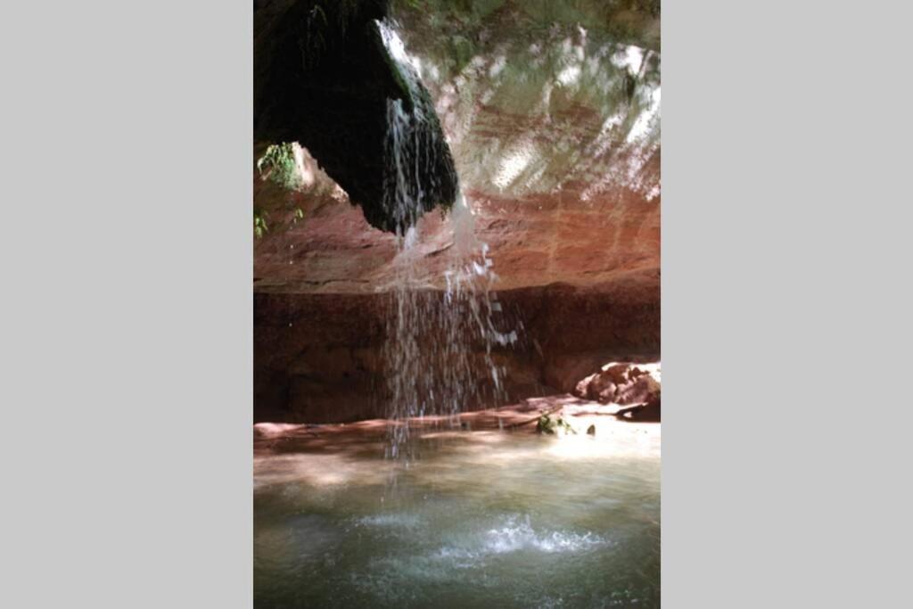 Mazet Dans Residence Avec Piscine Bagnols-en-Forêt 외부 사진